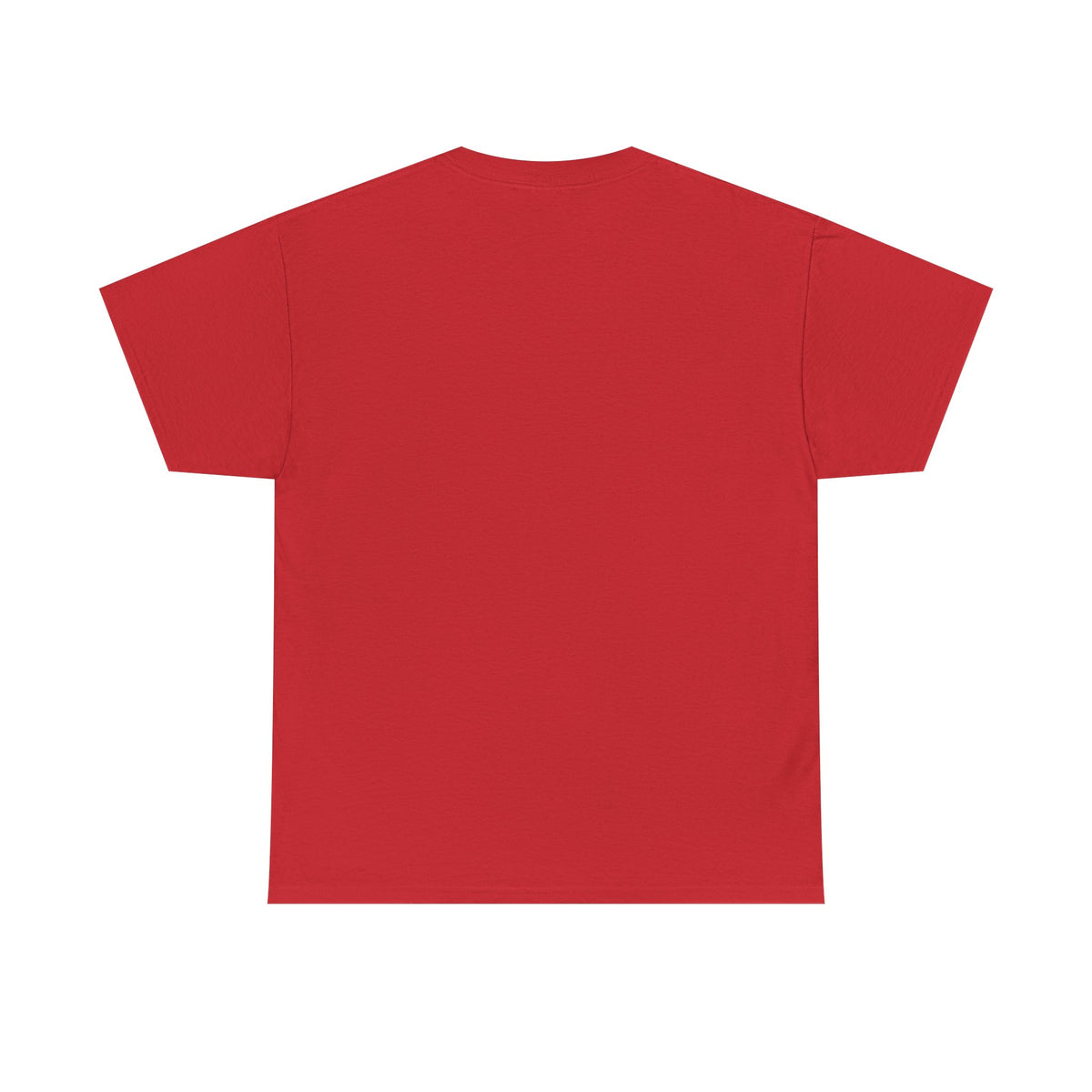 Graphic Tee — "Zephirok collection 01/Labs"
