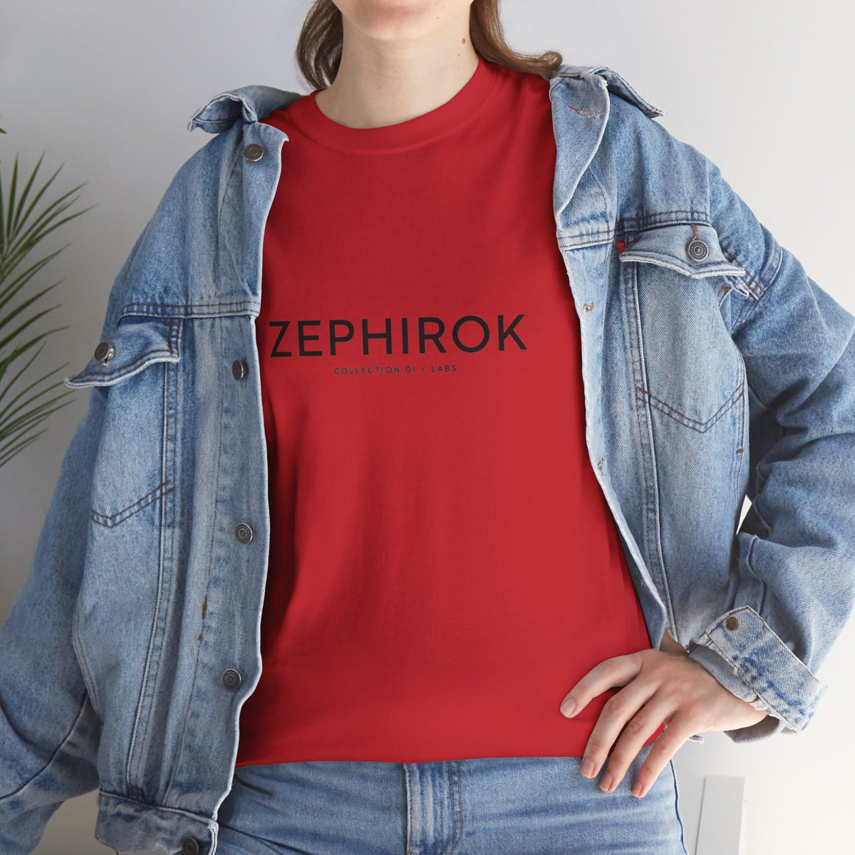 Graphic Tee — "Zephirok collection 01/Labs"