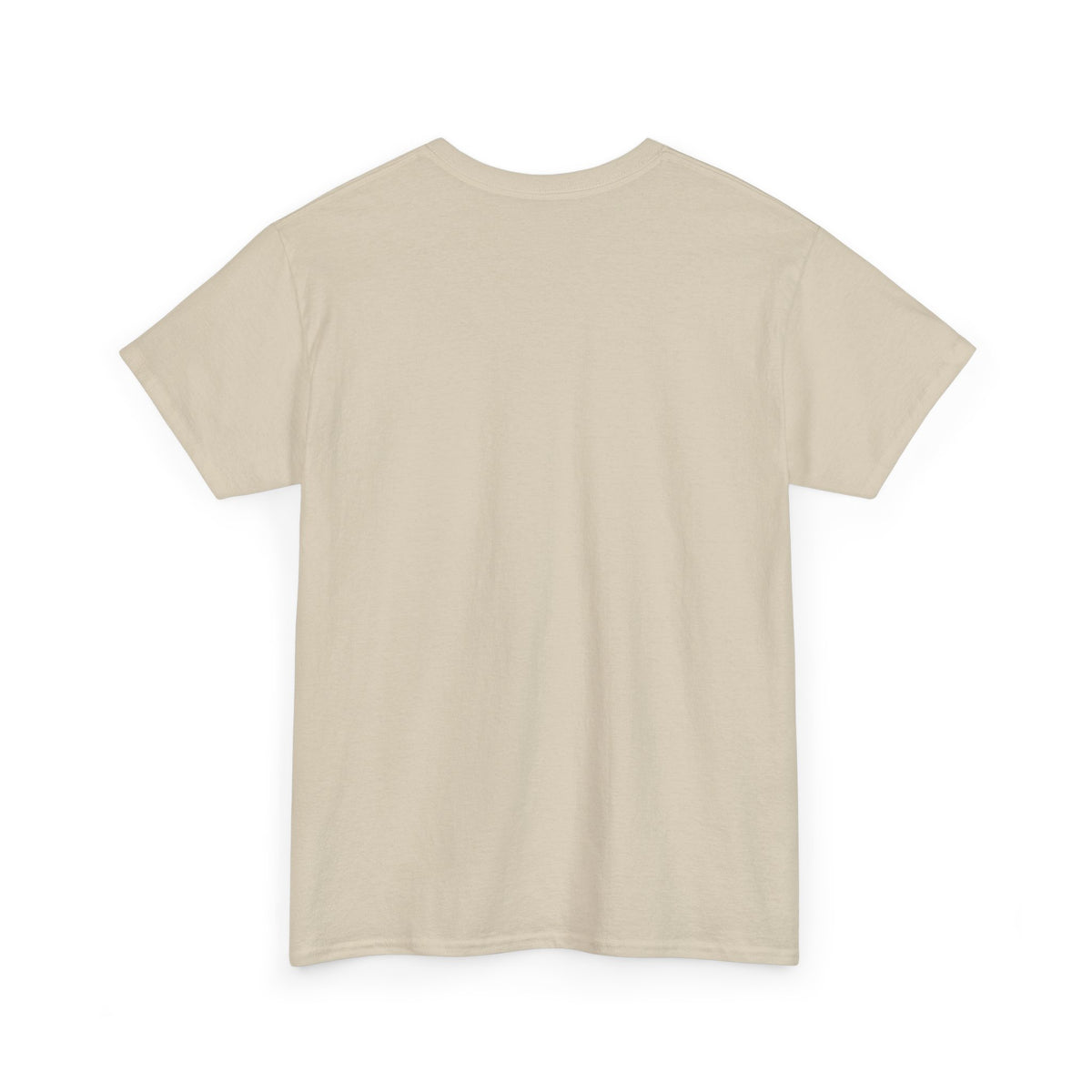 Graphic Tee — "Zephirok collection 01/Labs"