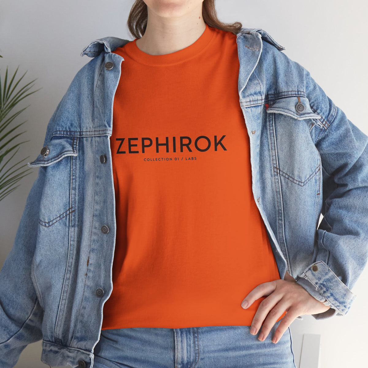 Graphic Tee — "Zephirok collection 01/Labs"