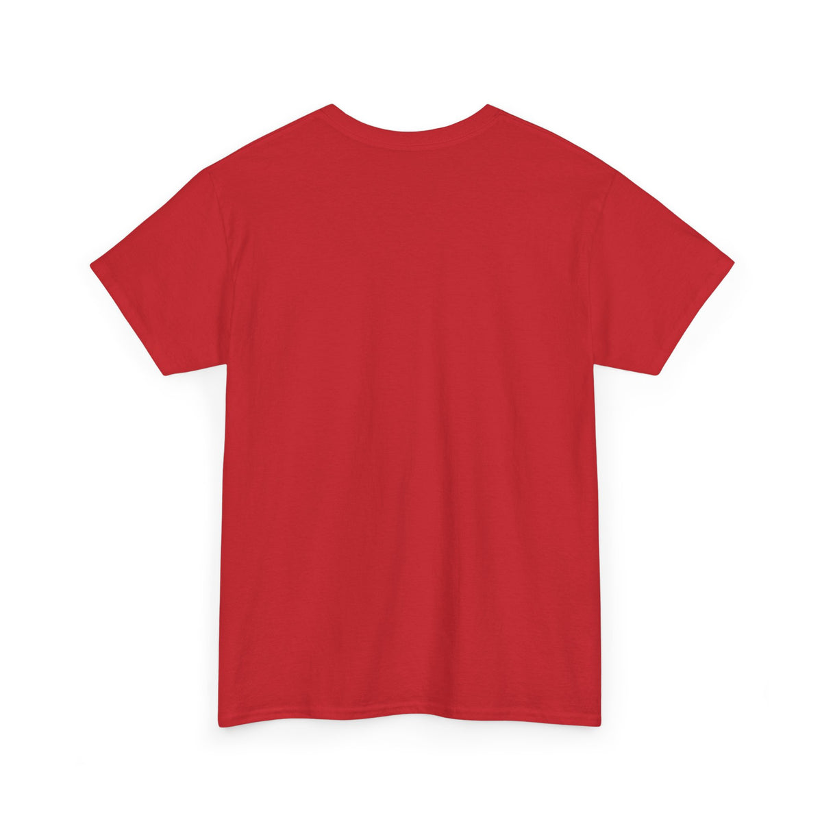 Graphic Tee — "Zephirok collection 01/Labs"