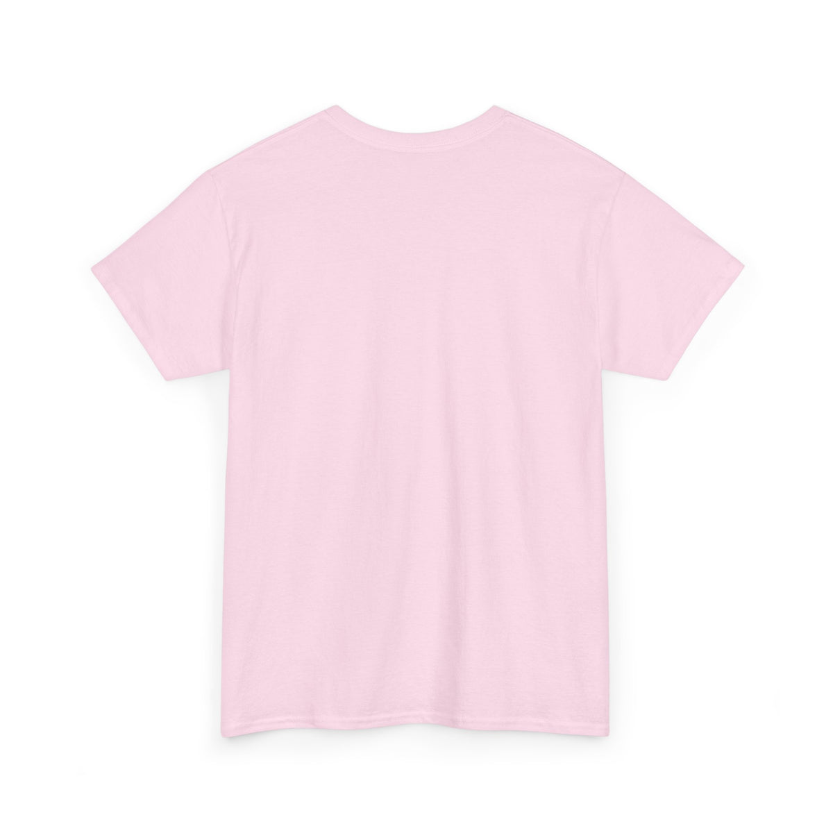 Graphic Tee — "Zephirok collection 01/Labs"