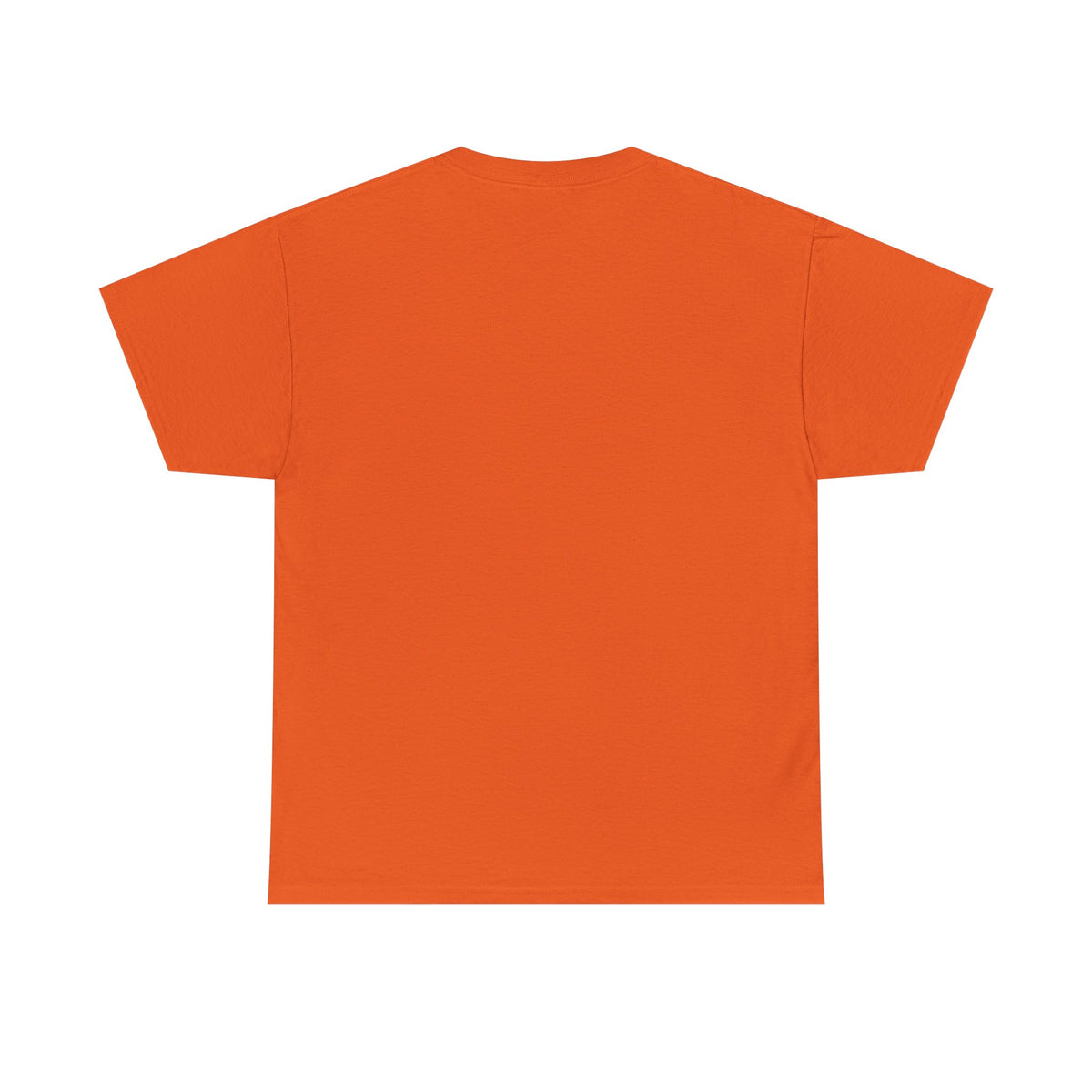 Graphic Tee — "Zephirok collection 01/Labs"